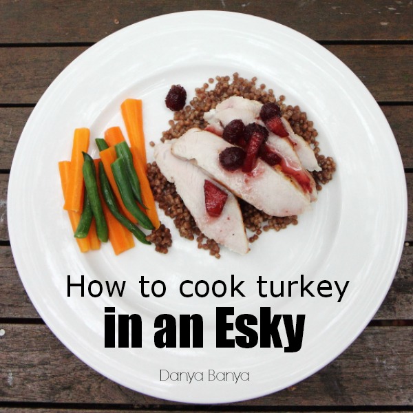 How to cook turkey in an Esky (plated up)