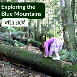 Exploring the Blue Mountains with Kids!