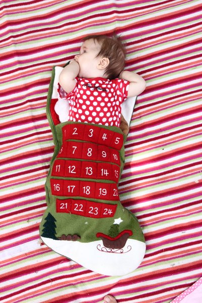 Baby Bee inside a Christmas advent calendar stocking, sucking on her fist